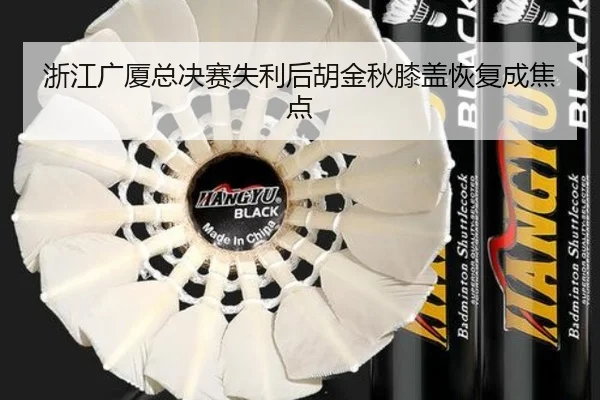 浙江广厦总决赛失利后胡金秋膝盖恢复成焦点