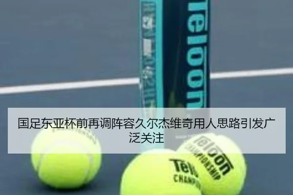 国足东亚杯前再调阵容久尔杰维奇用人思路引发广泛关注